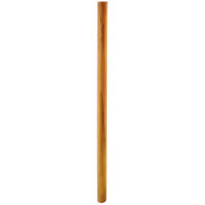 Biodegradable Khanyiso Straw
